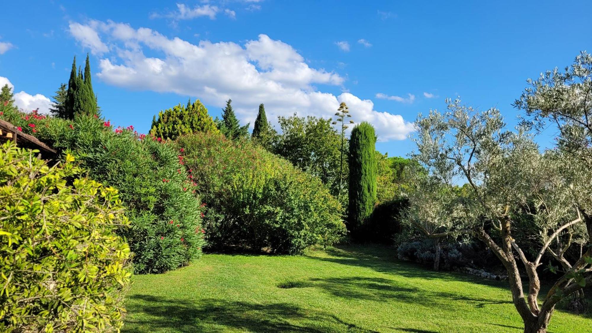 Mas Des Marguerites Bed and Breakfast Maussane les Alpilles Buitenkant foto