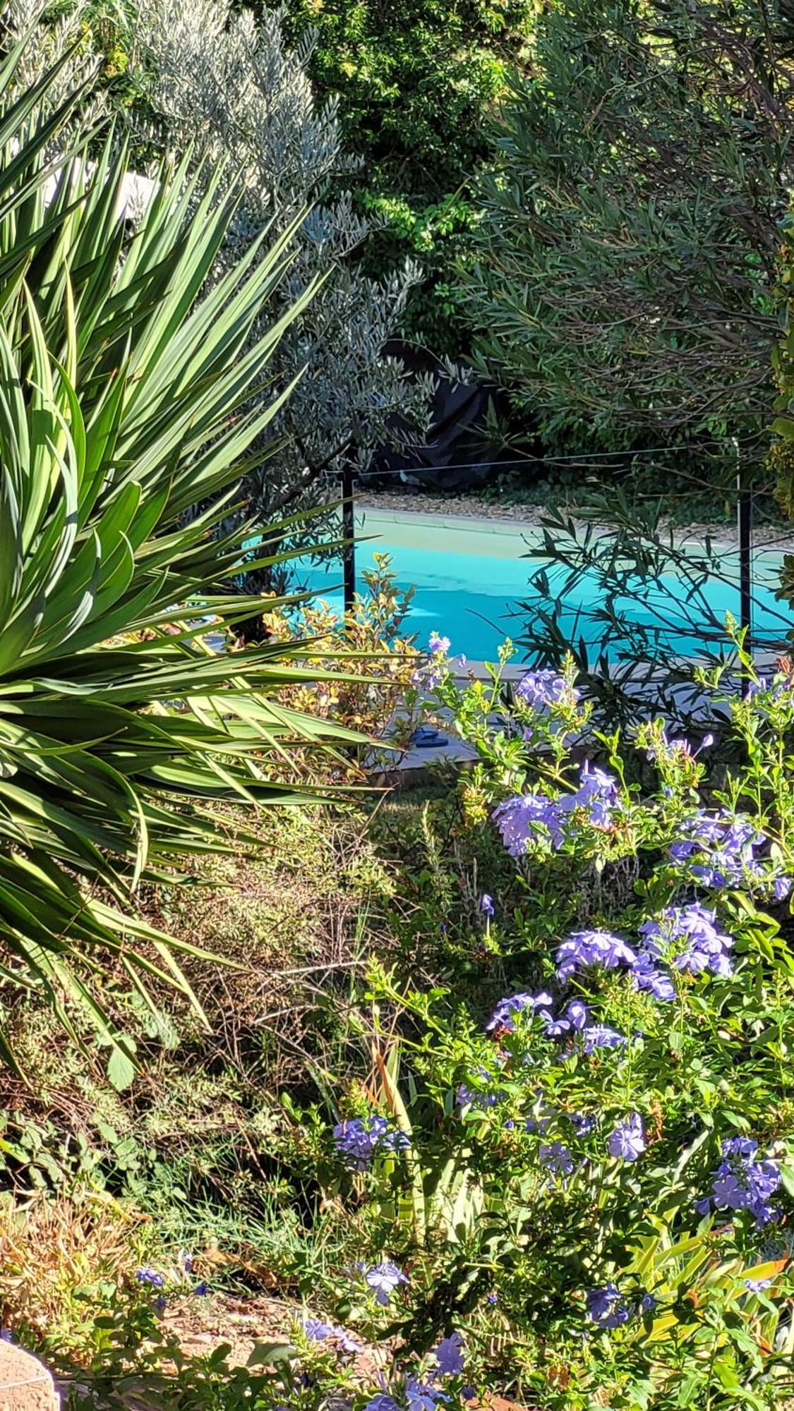 Mas Des Marguerites Bed and Breakfast Maussane les Alpilles Buitenkant foto